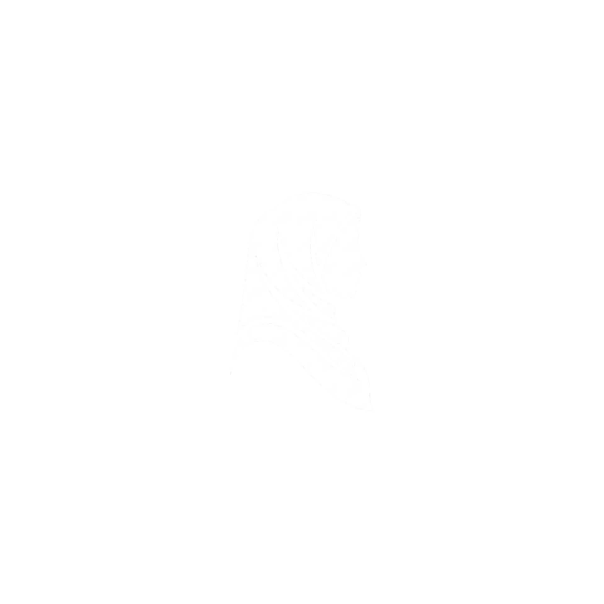 Hijabs